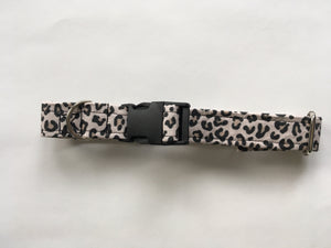 Cheetah Power
