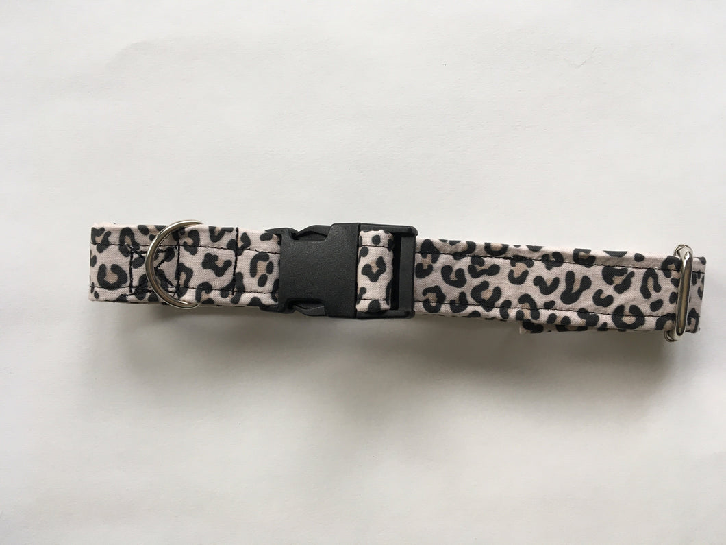 Cheetah Power