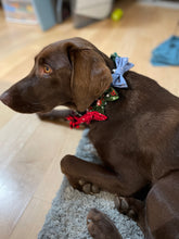 Load image into Gallery viewer, Holiday Pet Bows
